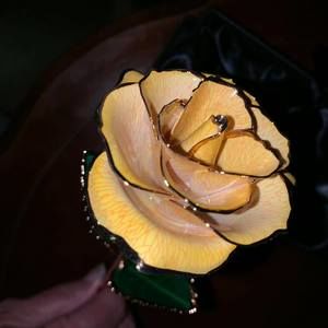 Meet your Posher, Joyce